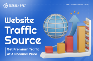 Website Traffic Source